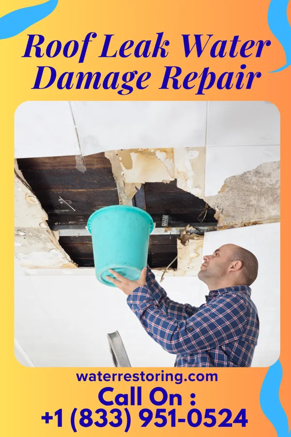 Roof Leak Water Damage Repair in Mendon, IL
