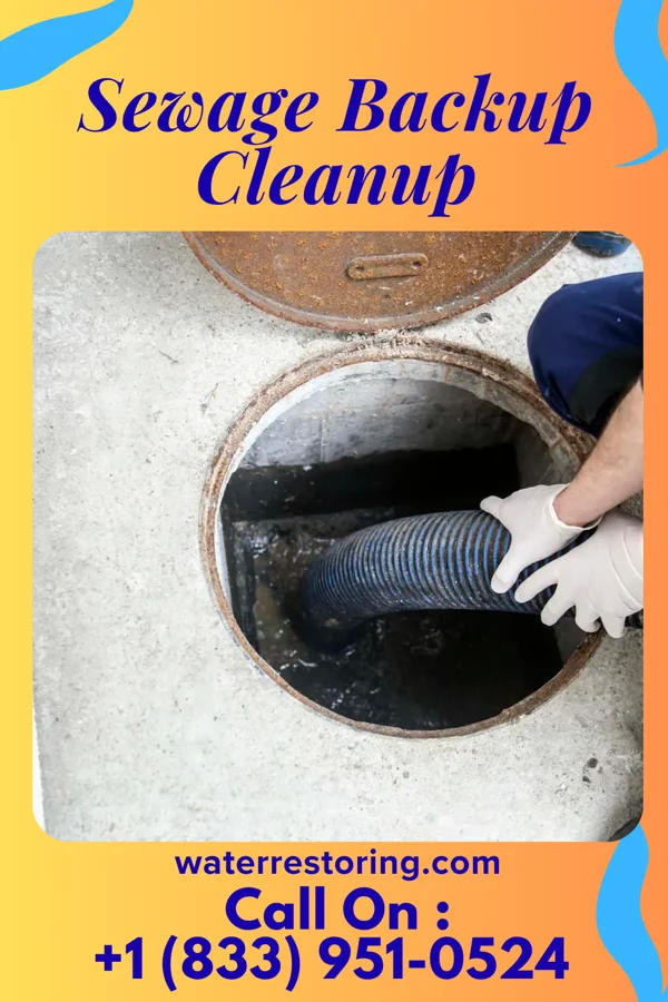 Sewage Backup Cleanup in Mendon, IL